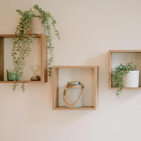 Swimming Pool Luxury House, With Ac Downtown Apartment