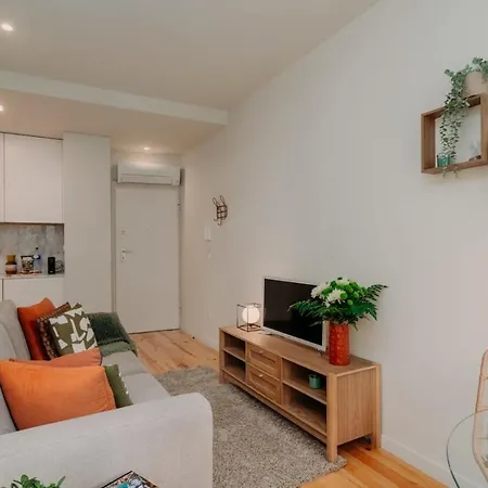Swimming Pool Luxury House, With Ac Downtown Apartment