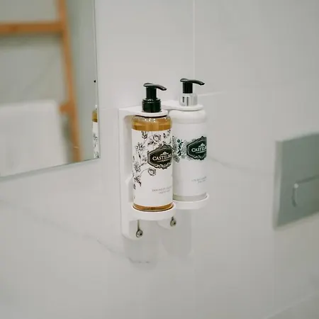 Swimming Pool Luxury House, With Ac Downtown *