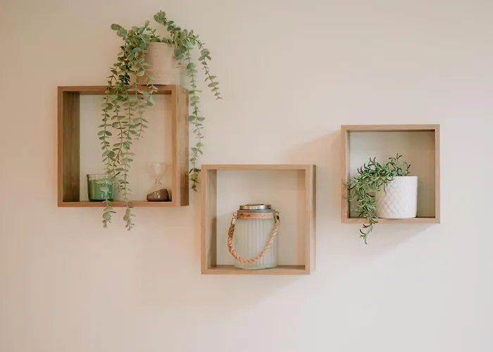 Swimming Pool Luxury House, With Ac Downtown Appartement