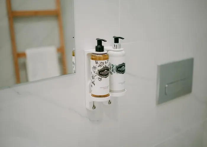 Swimming Pool Luxury House, With Ac Downtown *