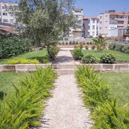 Swimming Pool Luxury House, With Ac Downtown